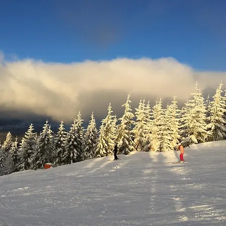 Le Mont