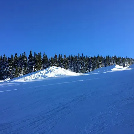 Apartment Le Mont Spindleruv Mlyn