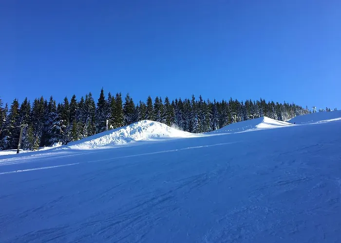 דירה Le Mont Špindlerŭv Mlýn